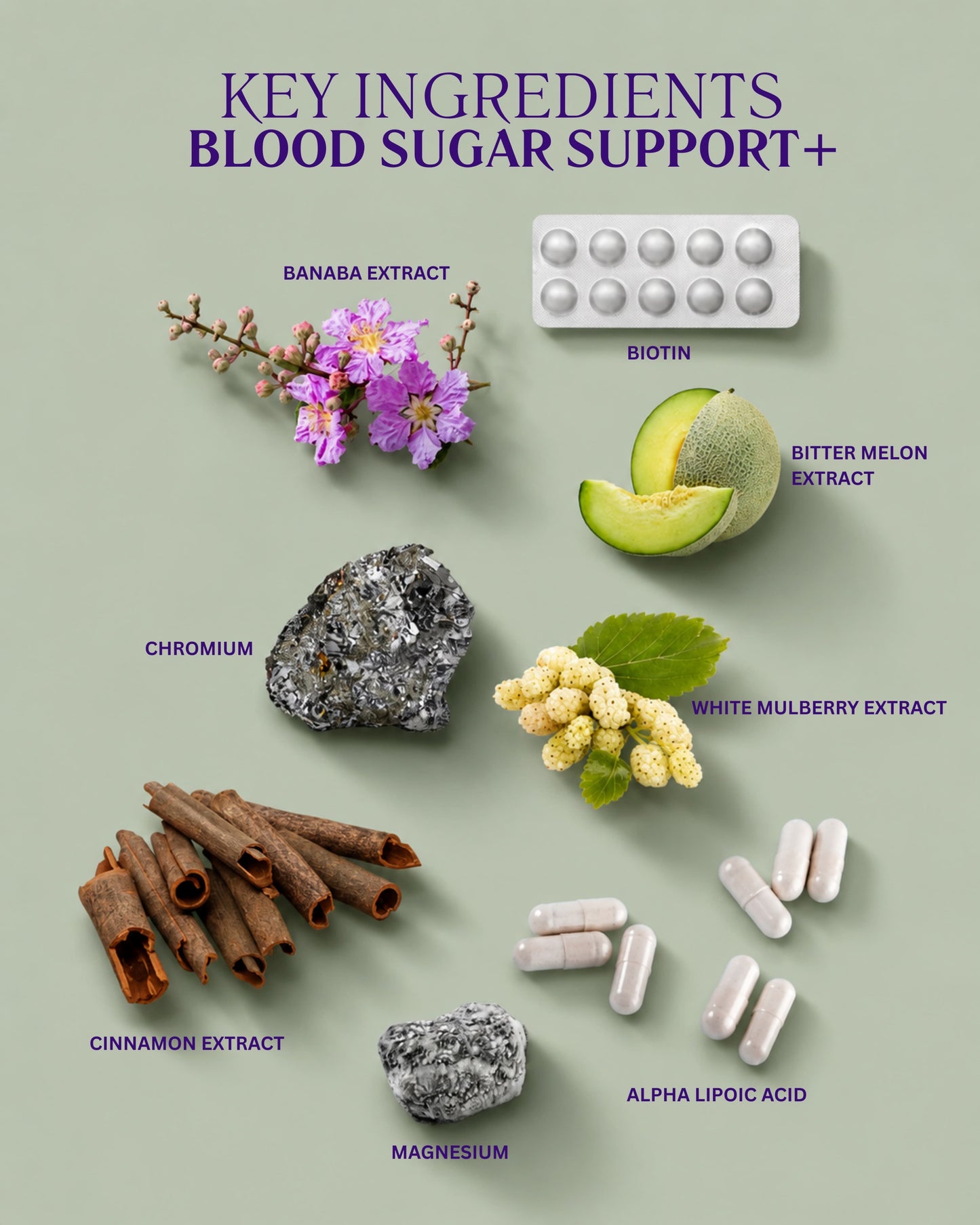 Blood Sugar Support+ | Daily Metabolic Wellness Support