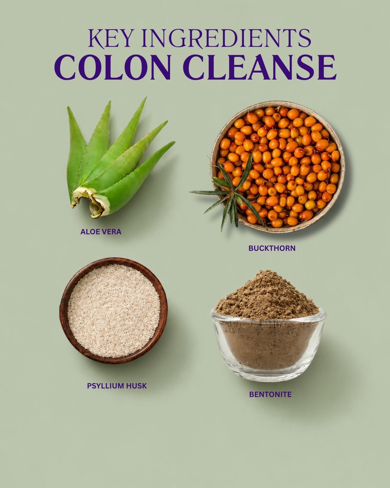 Colon Cleanse | Digestive & Wellness Support Formula