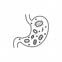 {"type"=>"root", "children"=>[{"type"=>"paragraph", "children"=>[{"type"=>"text", "value"=>"Gut Flora Support", "bold"=>true}]}]}